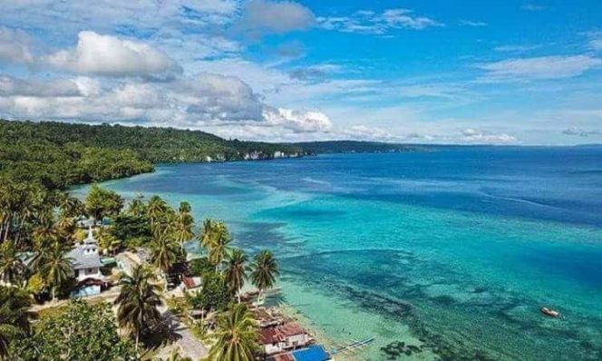 
 Biak dirikan museum bawah laut sebagai wisata unggulan