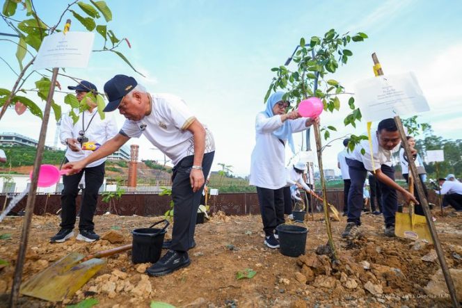 
 Otorita Tanam 712 Bibit Pohon Untuk Hijaukan IKN