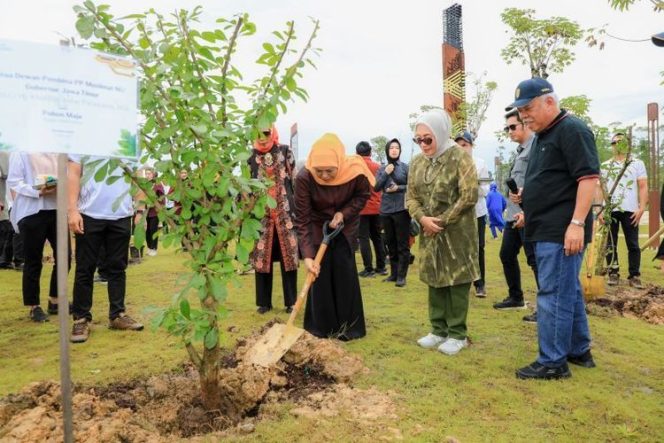 
 Jatim Tanam Pohon Majapahit di IKN, Simbol Sinergi Rp 1 Triliun