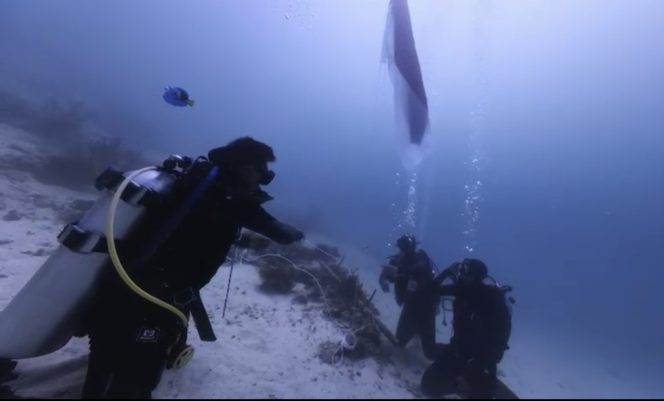 
 Polres Berau Sambut HUT RI ke-80 dengan Kibarkan Merah Putih di Bawah Laut Maratua