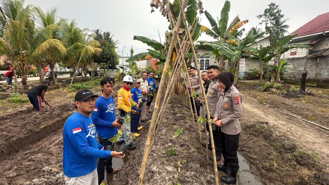 
 Sinergi Polri dan Masyarakat, Penanaman Uwi Ungu Jadi Solusi Pangan Lokal Kaltim