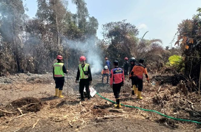 
 Patroli Brimob Pantau Hotspot di Pulau Rantau, Antisipasi Karhutla di Paser