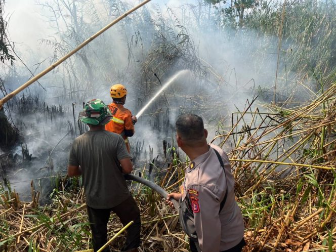 
 Karhutla di Muara Badak Bakar 7 Hektare Lahan, Petugas Kerahkan Helikopter Water Bombing