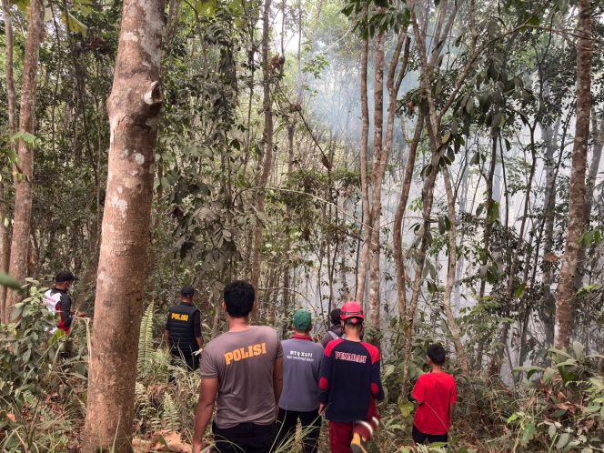 
 Karhutla Lahan Tiga Hektare di Muara Kuaro Paser Padam Berkat Kolaborasi TNI-Polri dan Masyarakat